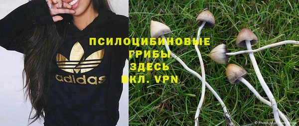 спайс Сясьстрой