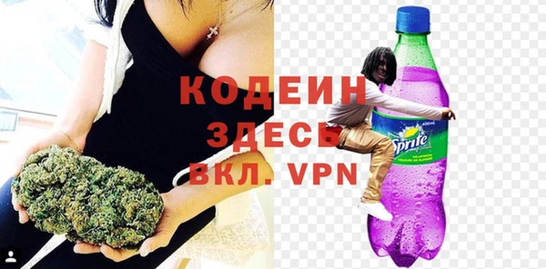 сатива Балахна
